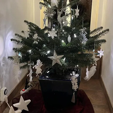 Apartment Hagert - Ankommen Und Wohlfuehlen